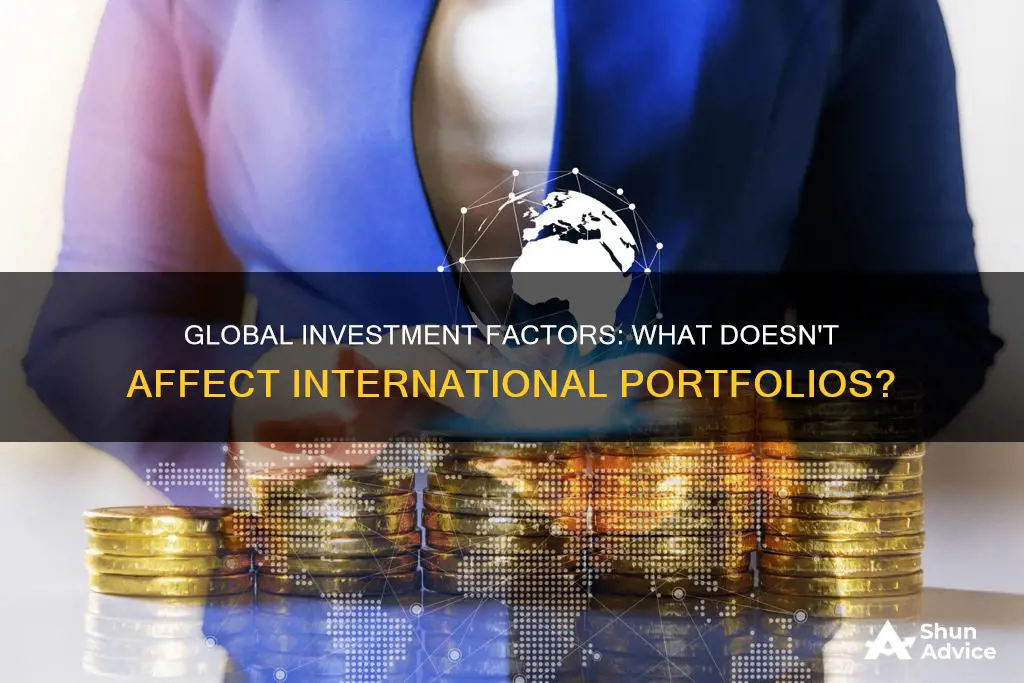 which of the following may not affect international portfolio investment