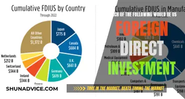 Unlocking Global Growth: How FDI Fuels Economic Development