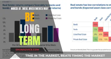 Long-Term Investment Strategies: Navigating the Market's Future