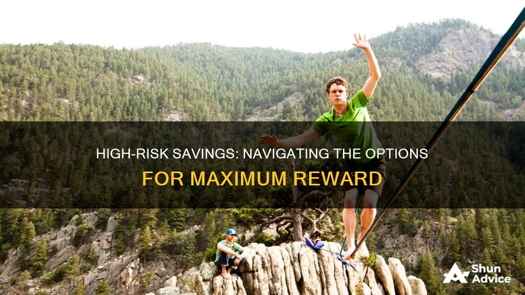 which of these saving investing options has the highest risk