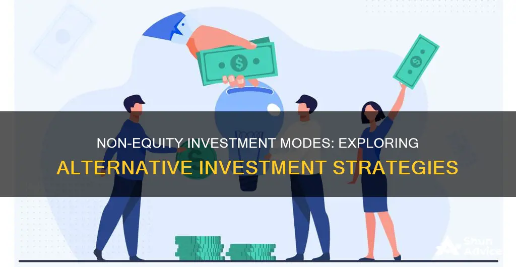 which one is non equity mode of investment