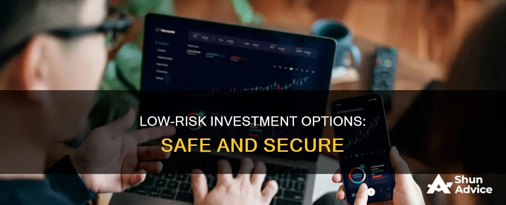 which option is an example of a low-risk investment