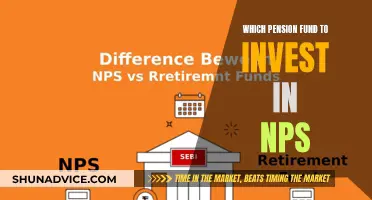 Pension Planning: Choosing the Right NPS Fund