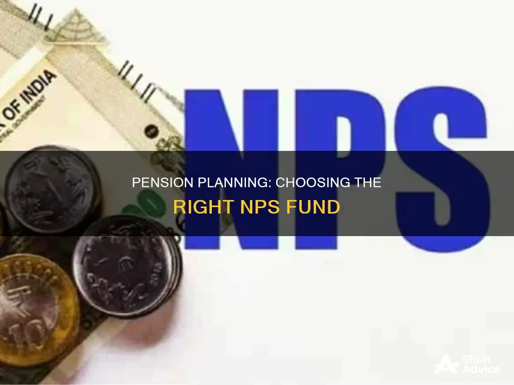 which pension fund to invest in nps