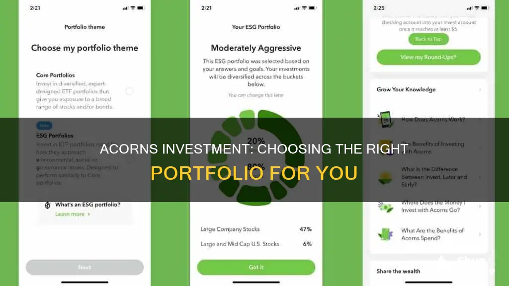 which portfolio to invest in acorns