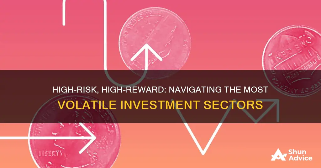 which sector has the highest risk investment