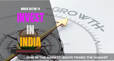 India's Investment Opportunities: Where to Invest Now?