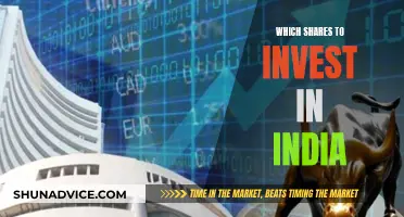 Indian Stock Market: Best Shares to Invest In