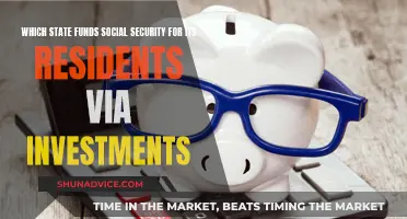 Investments Funding Social Security: State-Sponsored Retirement Plans