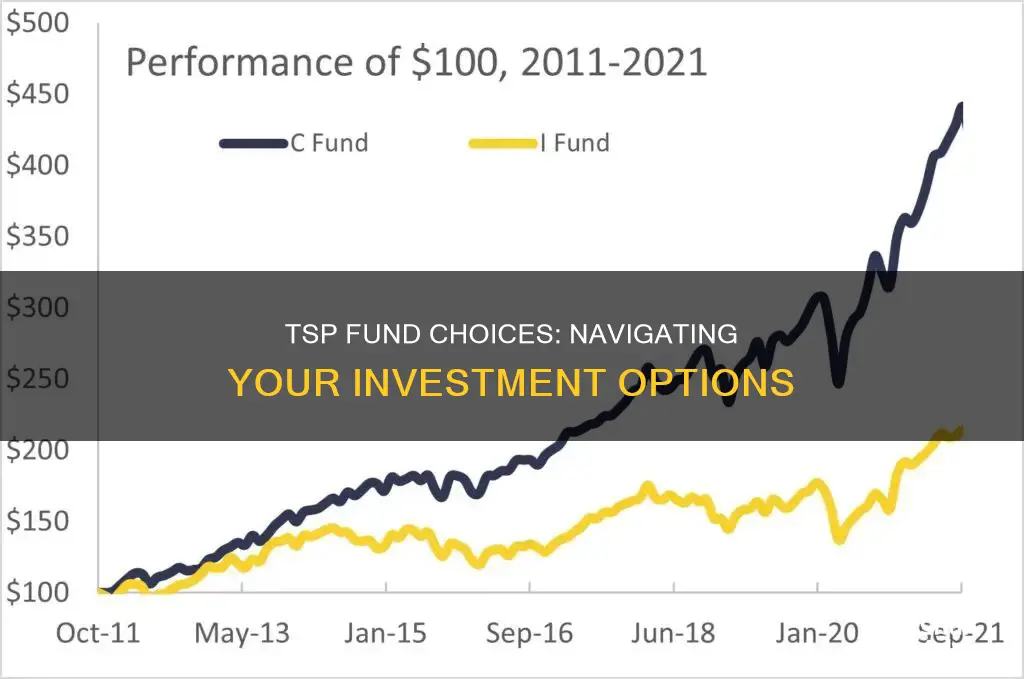 which tsp fund should I invest in redit