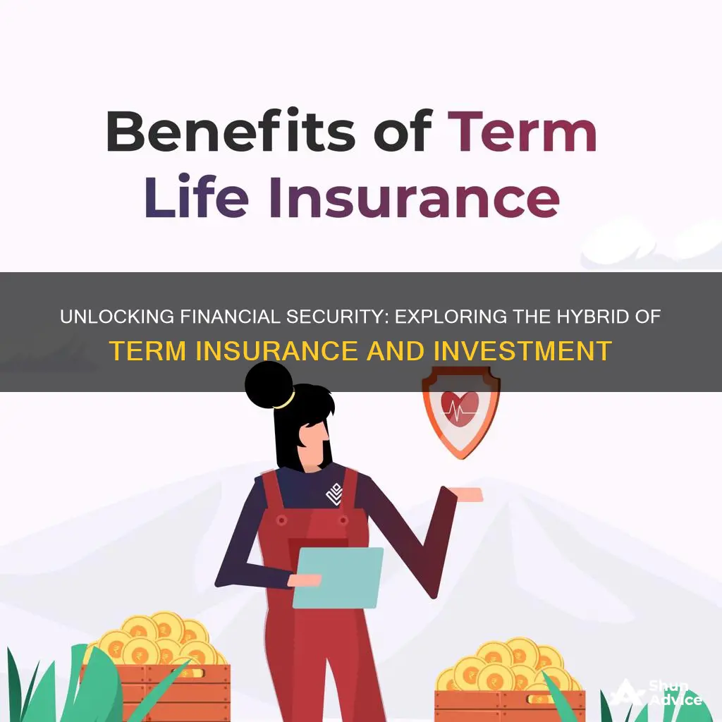 which type of insurance combines term insurance ans investment elements