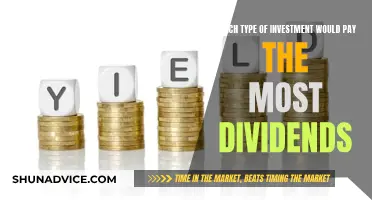 The Dividend Dilemma: Navigating the Best Investment Strategies