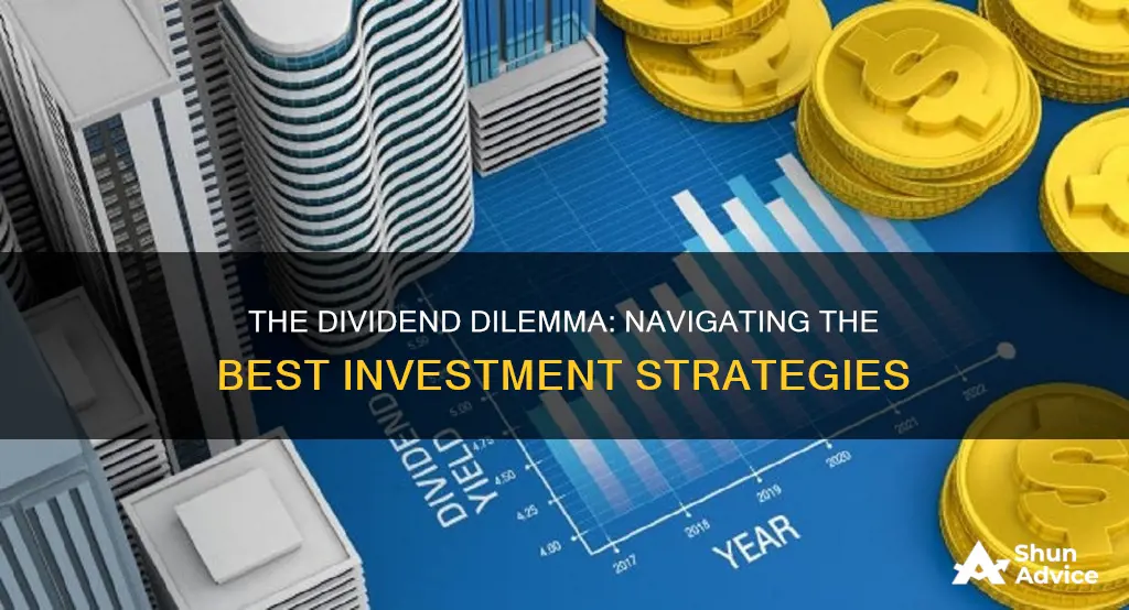 which type of investment would pay the most dividends