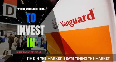 Vanguard Funds: Best Investment Options for Your Portfolio