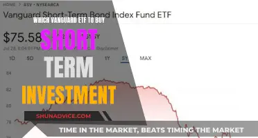 Vanguard ETFs: Top Choices for Short-Term Investors