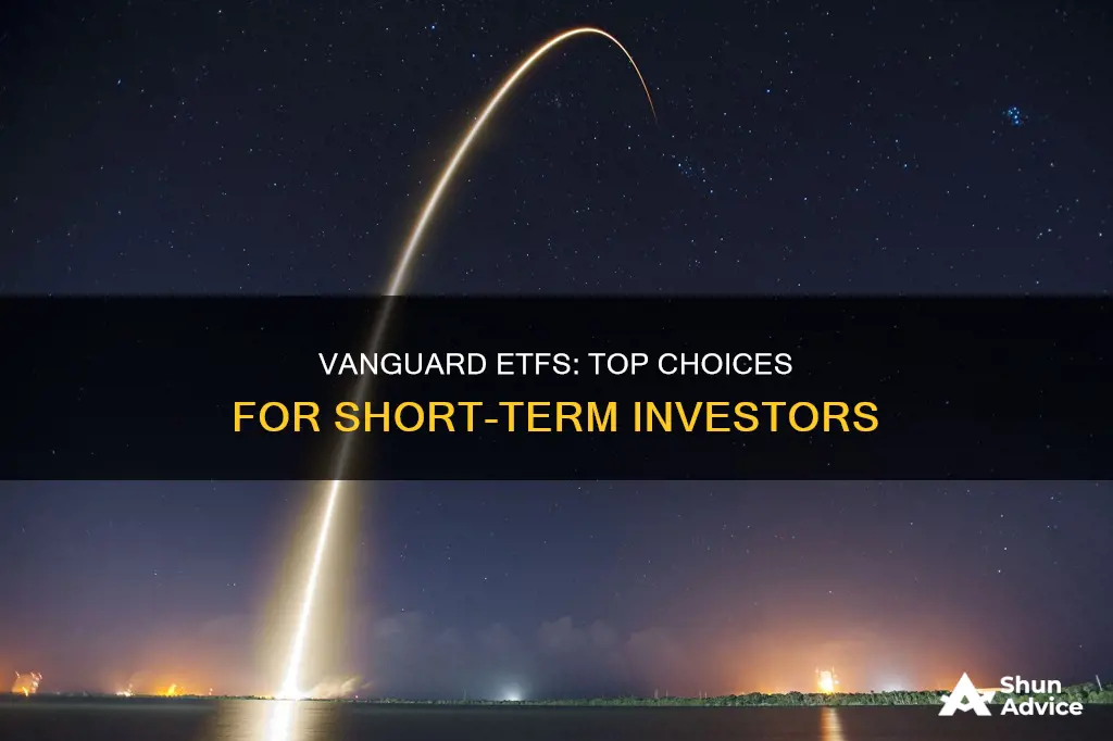 which vanguard etf to buy short term investment