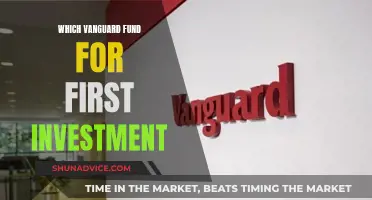 Best Vanguard Funds for Your First Investment