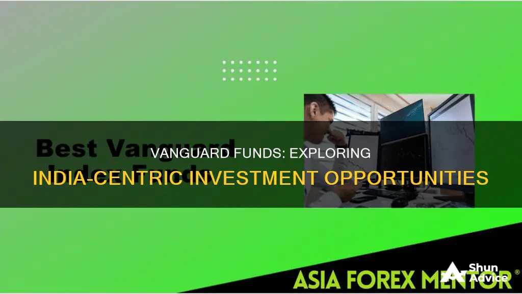 which vanguard fund invests in india