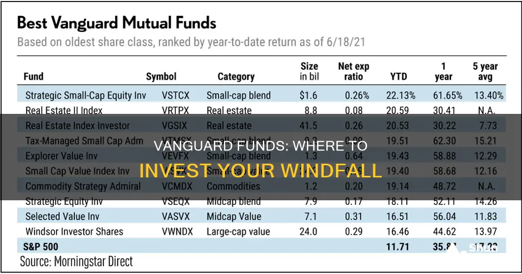 which vanguard fund should I invest a winfall in