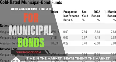 Municipal Bond Investing: Vanguard Funds for Beginners