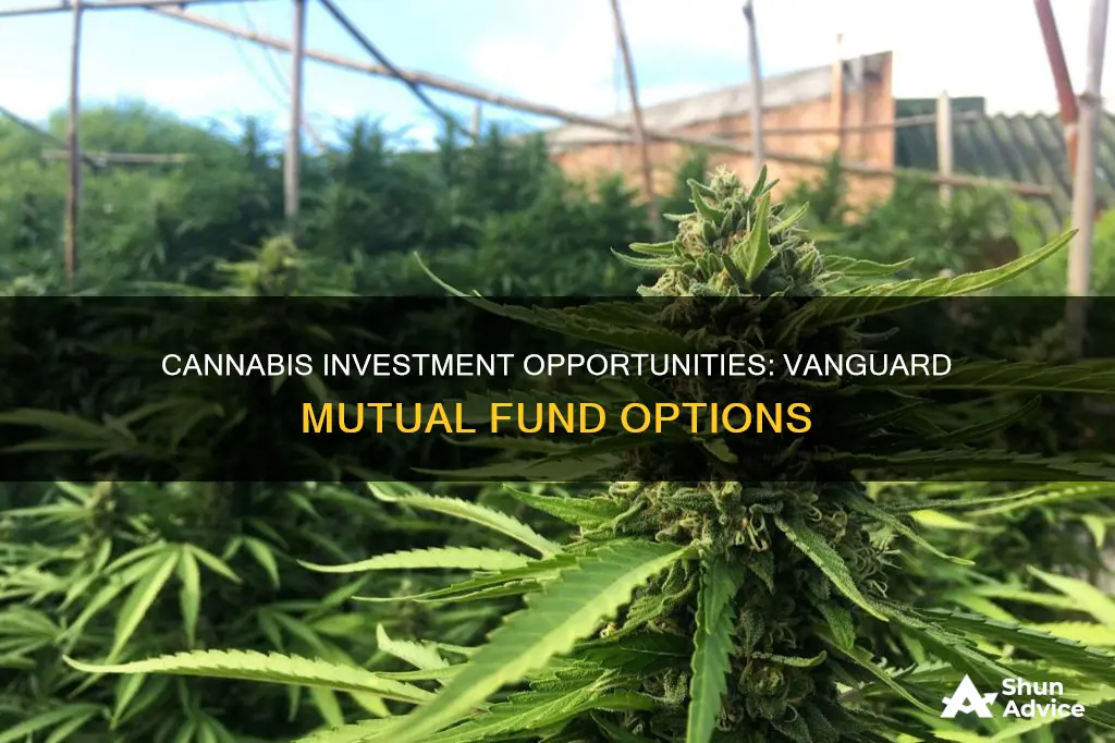 which vanguard mutual fund invests in canabis