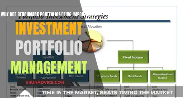 Benchmark Portfolios: Investment Management's Essential Guide