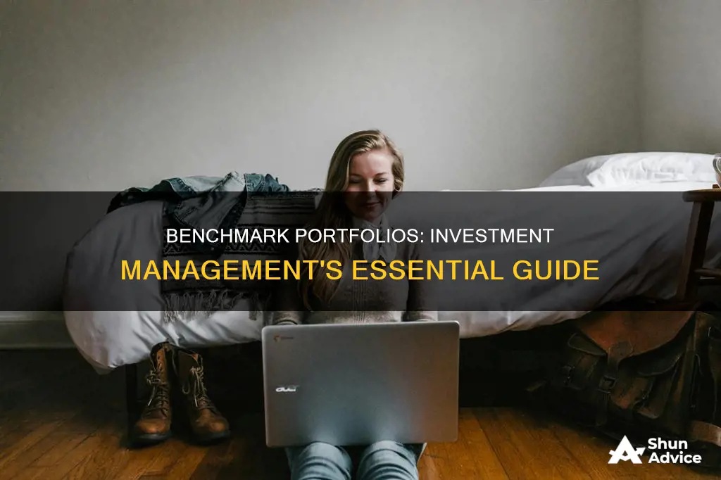 why are benchmark portfolios being important in investment portfolio management