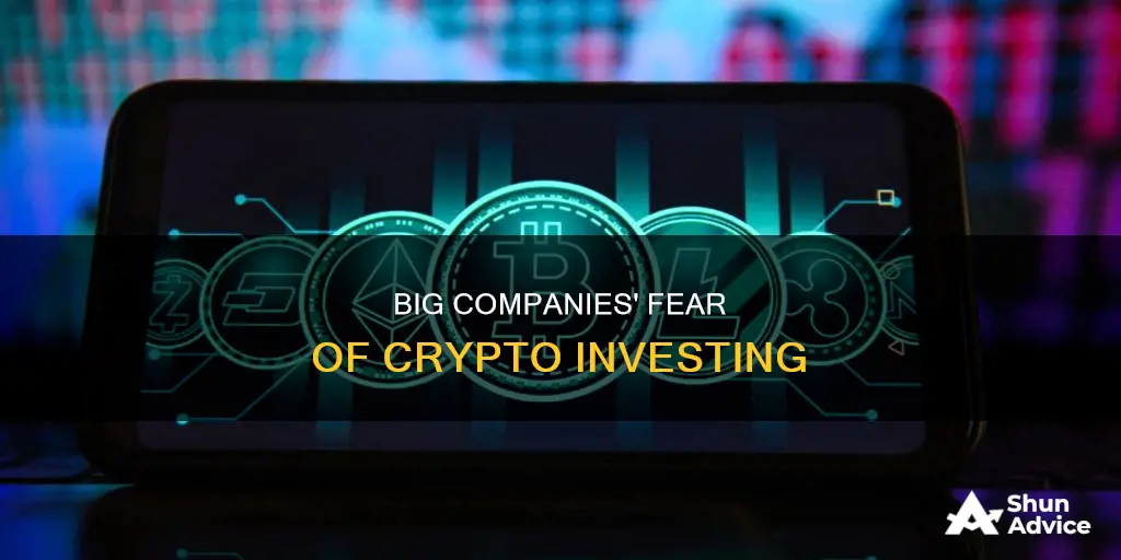 why are big companies not investing in cryptocurrency