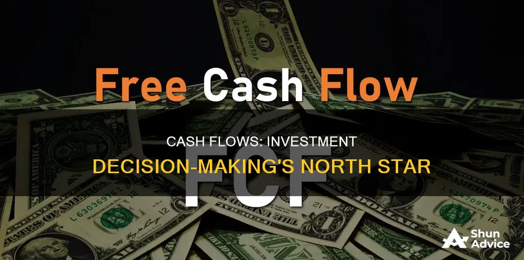 why are cash flows important in investment decisions