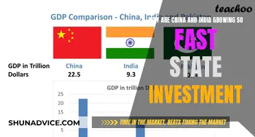 State Investment Fuels China and India's Rapid Growth