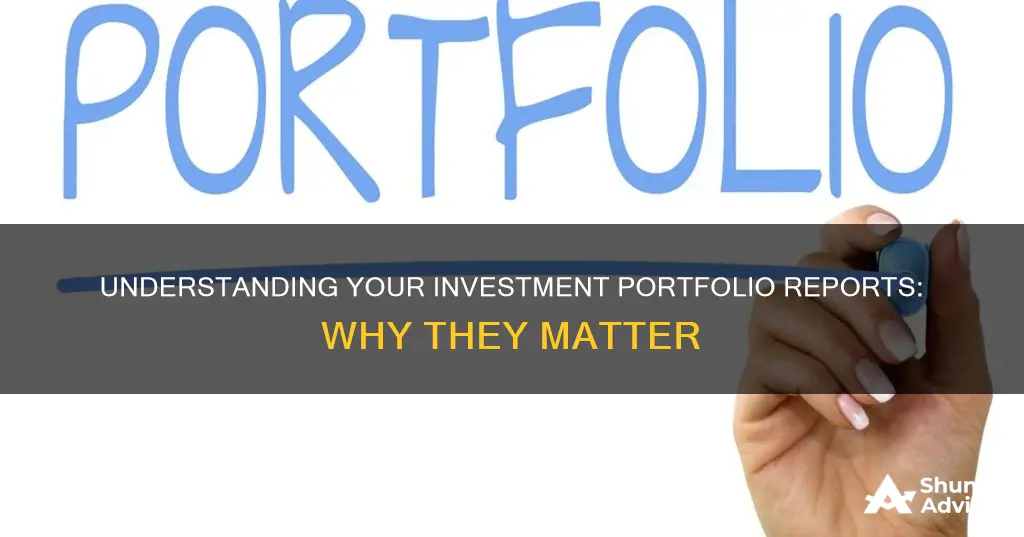 why are investment portfolio reports important