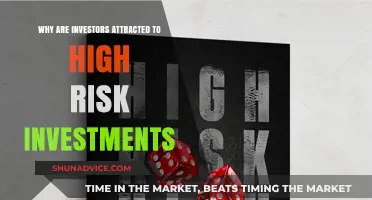 Unveiling the Allure: Why High-Risk Investments Captivate Investors