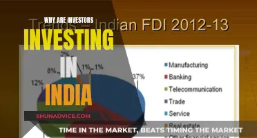 India's Investment Appeal: Why Investors are Attracted