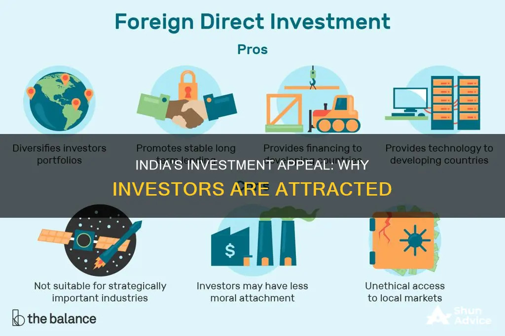 why are investors investing in india