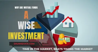 Mutual Funds: Smart Investment, Diversified Portfolio, and Profits