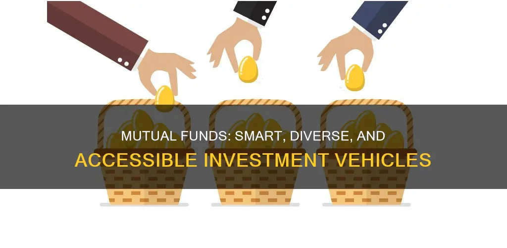 why are mutual funds smart investing vehicles