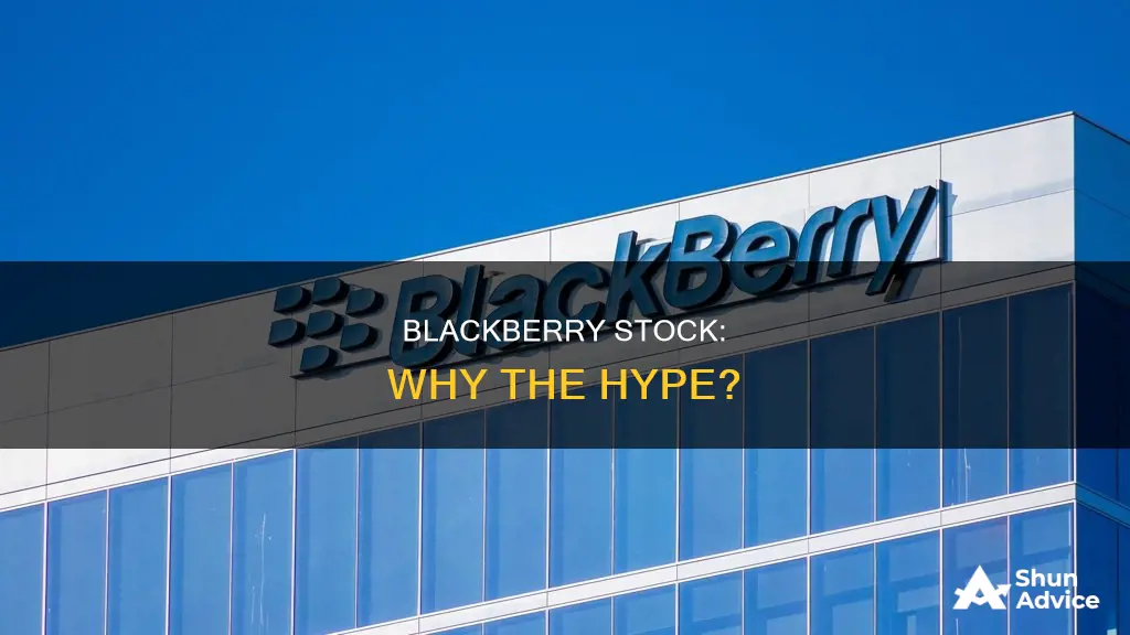 why are people investing in blackberry