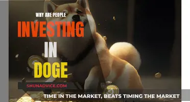 Doge Investors: Why the Hype?