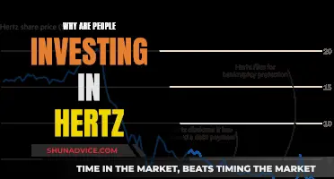 Hertz: Why Investors Are Betting Big