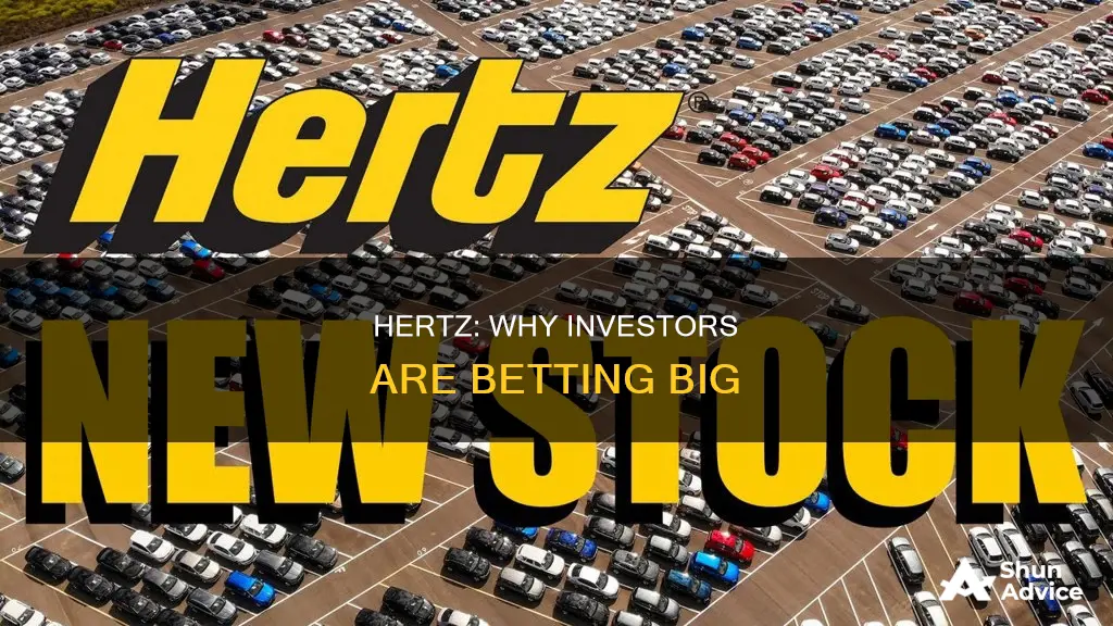 why are people investing in hertz