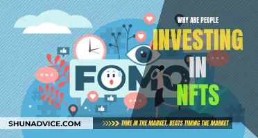 The NFT Investment Craze: Why?