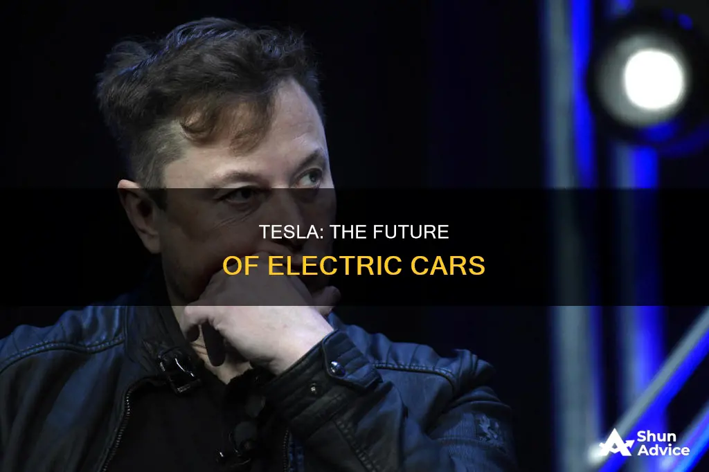 why are people investing in tesla