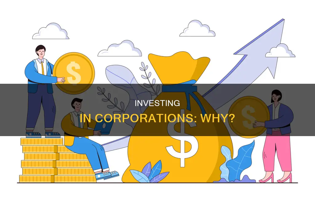 why are people willing to invest in corporations