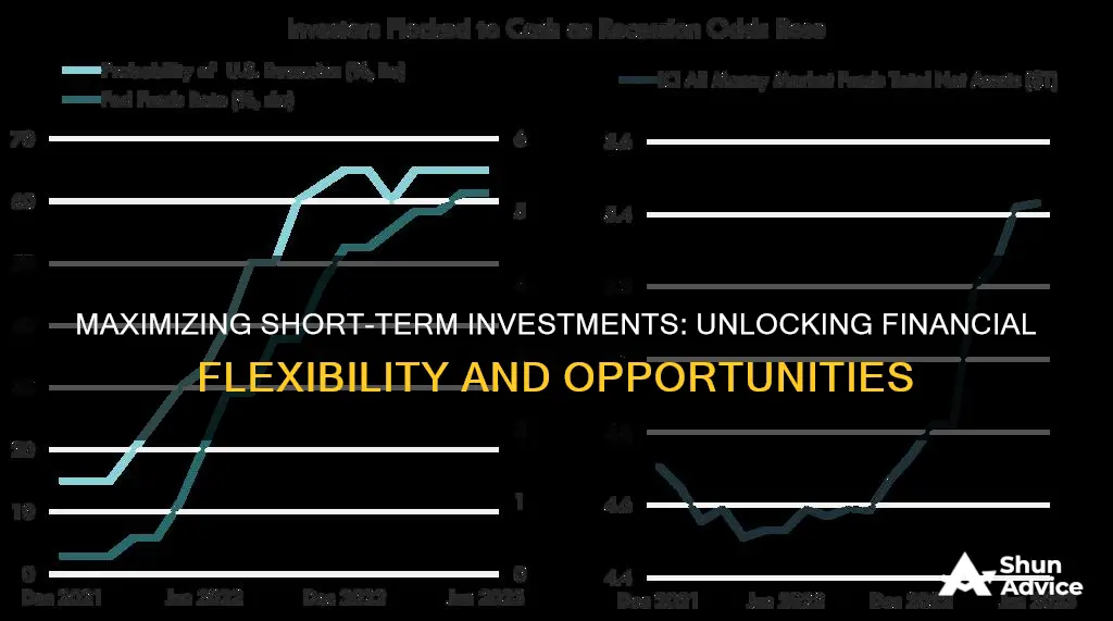 why are short term investments important