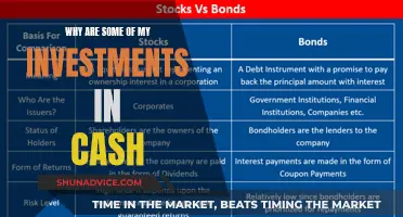 Understanding Cash Investments in Your Portfolio