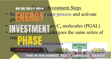 Energy Investment Phase: Two ATPs Explained