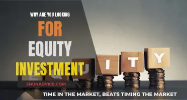 Equity Investment: Scaling Business and Maximizing Growth Potential