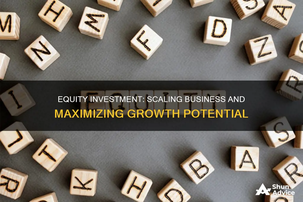 why are you looking for equity investment