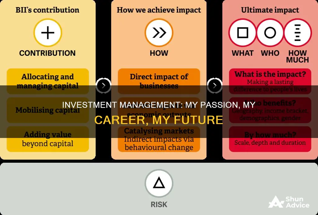 why are you passionate about investment management