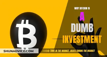 Bitcoin: Dumb Investment, Smart Speculation?